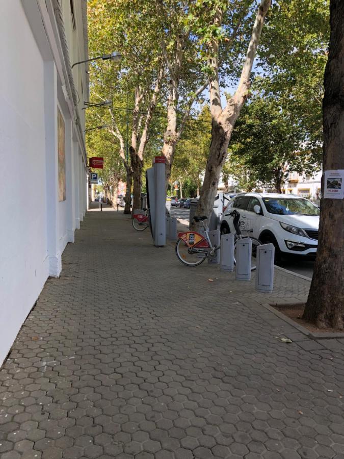 Apartamento 1 Dormitorio Y Salon Con Sofa Cama Bien Comunicado Con El Centro Seville Luaran gambar